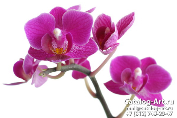 картинки для фотопечати на потолках, идеи, фото, образцы - Потолки с фотопечатью - Розовые орхидеи 91